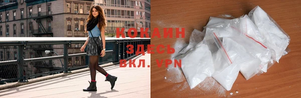 индика Куйбышев