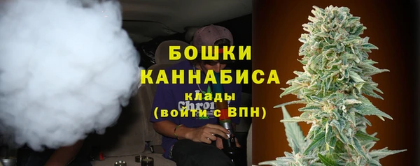 индика Куйбышев