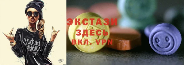 дмт Каменка