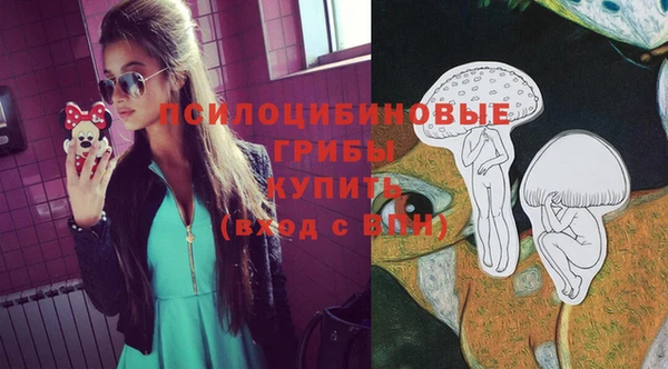 тгк Кукмор