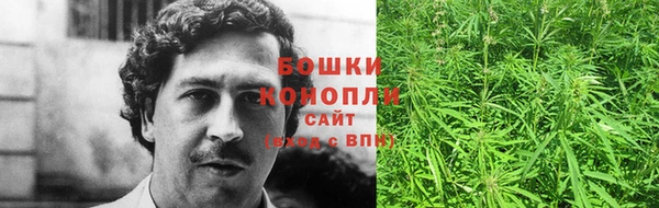 индика Куйбышев