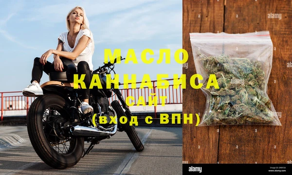 дмт Каменка